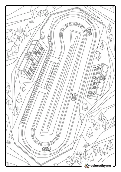 Racing Circuit Bird's Eye View